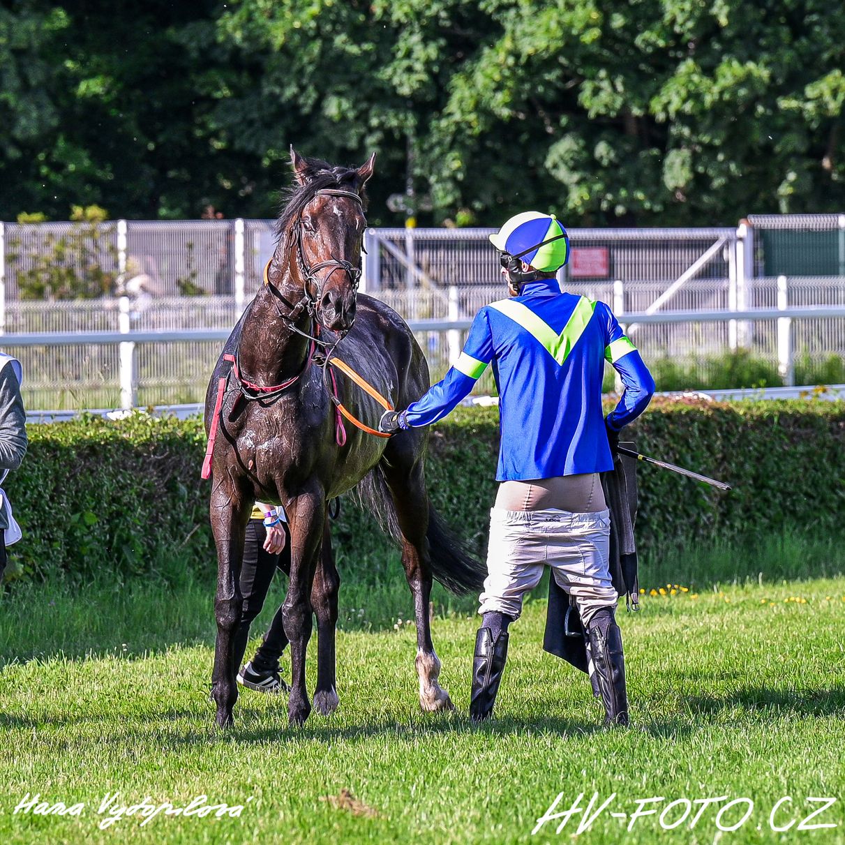 DSC_2107 kopie.jpg